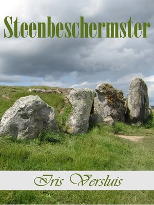 cover image of Steenbeschermster